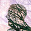 Martin_Dunne